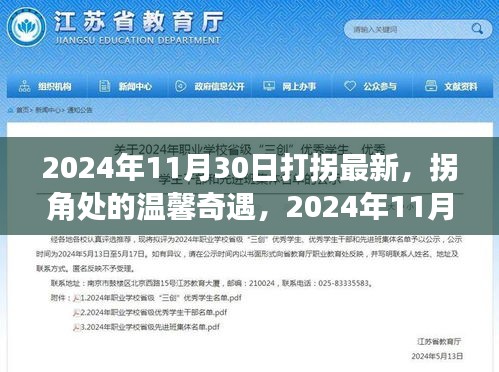 拐角处的温馨奇遇，2024年11月30日的奇妙日常与打拐最新动态