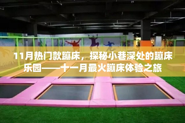 十一月热门蹦床探秘，小巷深处的乐园体验之旅