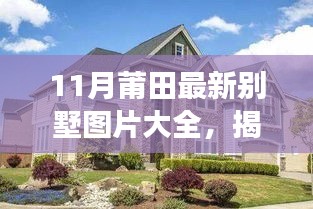 揭秘莆田梦幻别墅与特色小店，十一月最新探秘与图片大全