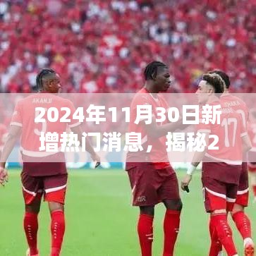揭秘，最新热门消息深度解读——产品特性、用户体验与目标用户分析（2024年11月30日更新）