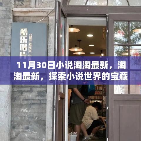 淘淘小说世界，最新宝藏探索之旅——11月30日特别版