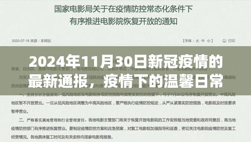 疫情下的温馨日常，最新通报与友情故事，2024年11月30日喜讯