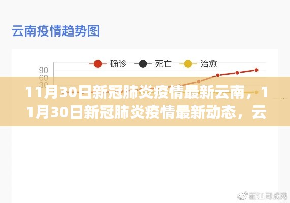 云南疫情防控进展报告，最新动态与进展