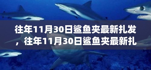 往年11月30日鲨鱼夹最新扎发，时尚观点碰撞中的个人立场探索