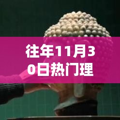 往年11月30日热门理论片第九影院，深度评测与介绍