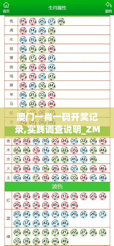 澳门一肖一码开奖记录,实践调查说明_ZMP33.114梦幻版