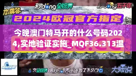 今晚澳门特马开的什么号码2024,实地验证实施_MQF36.313温馨版