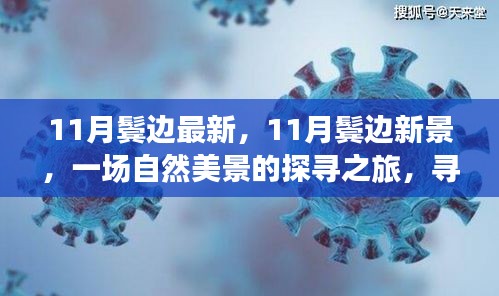 11月鬓边新景探寻，自然美景之旅，寻找内心的宁静与平和