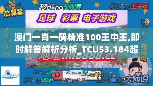 澳门一肖一码精准100王中王,即时解答解析分析_TCU53.184超级版