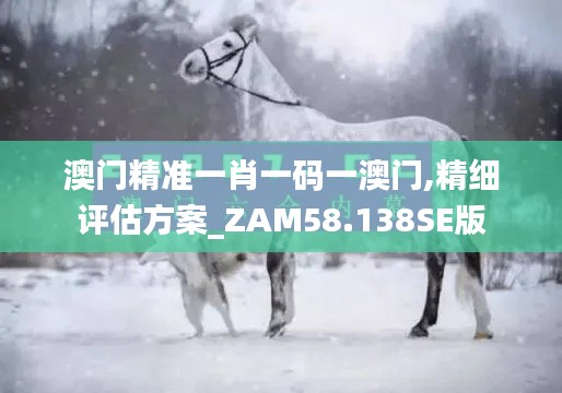 澳门精准一肖一码一澳门,精细评估方案_ZAM58.138SE版