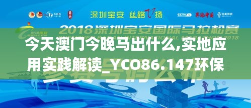 今天澳门今晚马出什么,实地应用实践解读_YCO86.147环保版