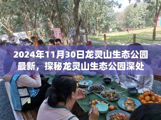 探秘龙灵山生态公园，隐藏瑰宝与生态美食小巷之旅（最新报道）