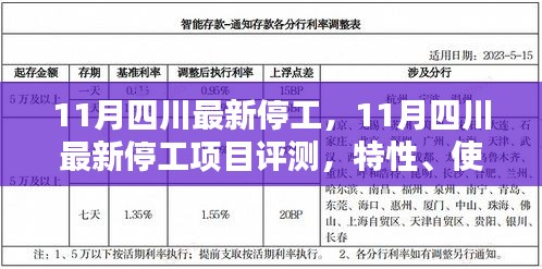 11月四川最新停工项目解析，特性、使用体验与竞品对比