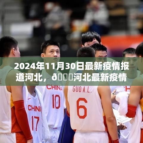 河北最新疫情动态报道，2024年11月30日最新消息与生活点滴分享