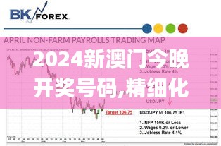 2024新澳门今晚开奖号码,精细化方案决策_生态版FUV52.445
