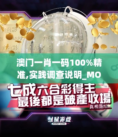 澳门一肖一码100%精准,实践调查说明_MOP59.652探索版