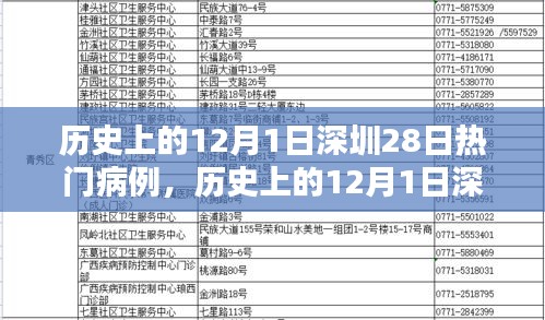 深圳疫情深度解析，热门病例追踪指南与历史上的疫情回顾（12月1日篇）