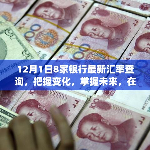 12月1日最新汇率查询，洞悉金融变化，把握未来财富机遇