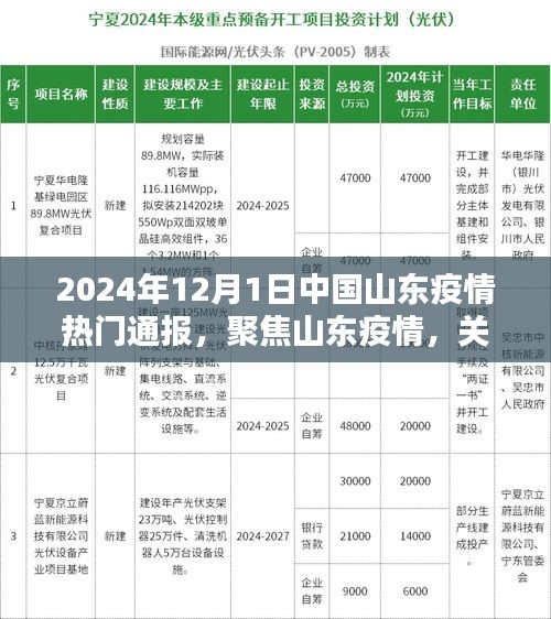 山东疫情最新通报，聚焦山东省疫情动态（2024年12月1日）