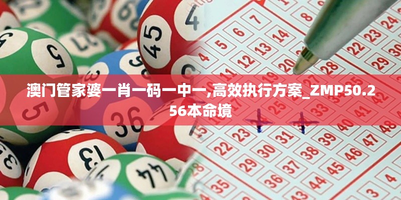澳门管家婆一肖一码一中一,高效执行方案_ZMP50.256本命境