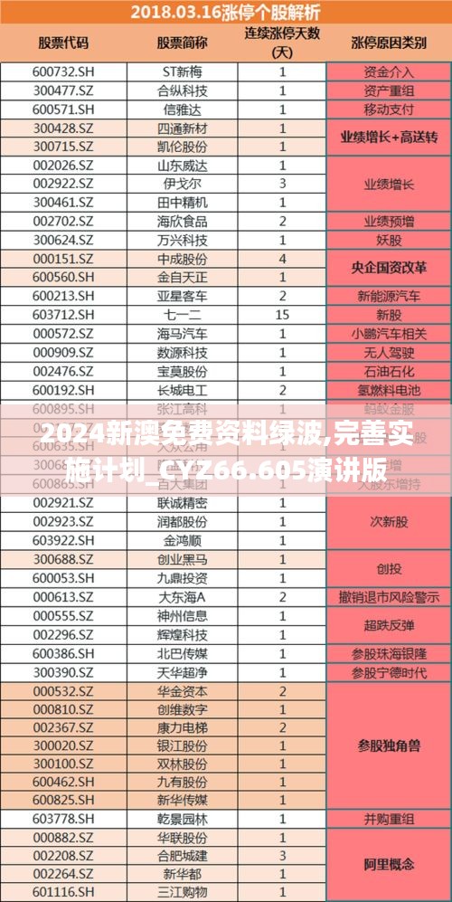 2024新澳免费资料绿波,完善实施计划_CYZ66.605演讲版