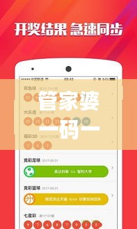 管家婆一码一肖100中奖,执行机制评估_KLO76.686方案版