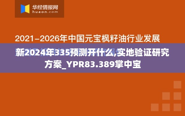 新2024年335预测开什么,实地验证研究方案_YPR83.389掌中宝