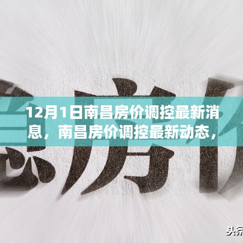 南昌房价调控最新动态深度解读与未来展望（12月更新版）