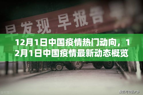 中国疫情最新动态概览（12月1日热门动向）