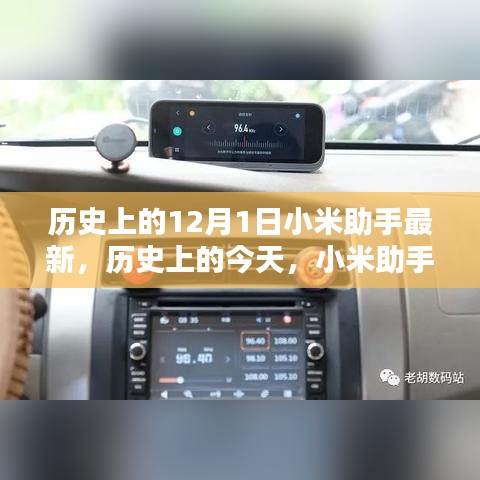 历史上的小米助手，励志启示与自信之光的闪耀时刻（附日期，12月1日最新资讯）