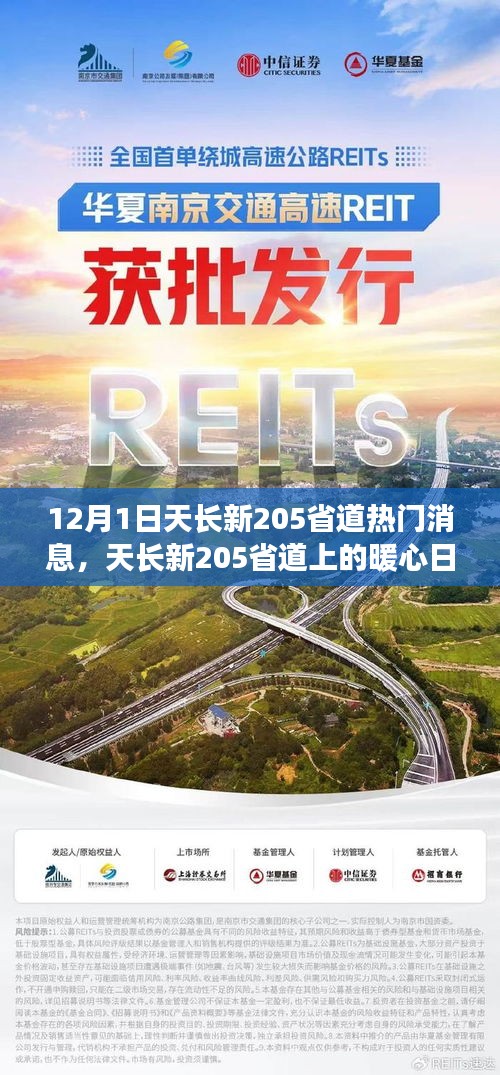 天长新205省道上的暖心日常与友谊传递，爱的陪伴在行动