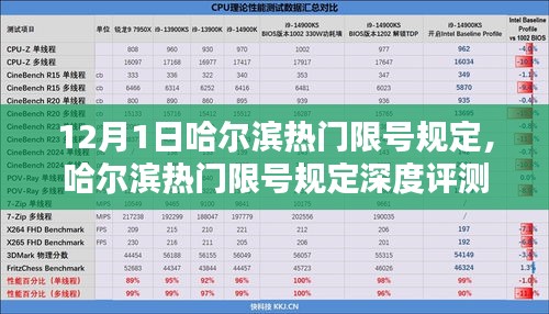 哈尔滨热门限号规定深度解析，用户体验与最新动向分析