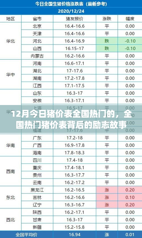 全国热门猪价表背后的励志故事，变化、学习与自信的魔力，最新十二月猪价表揭秘