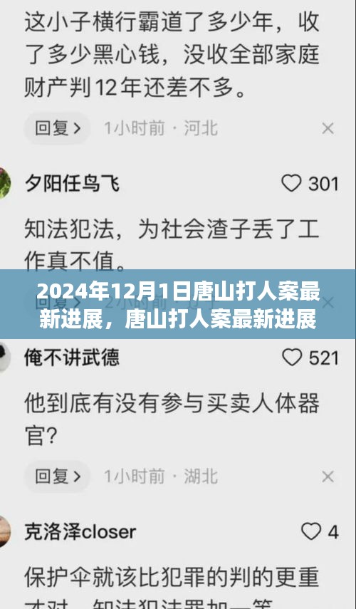唐山打人案最新进展，自然之旅带来内心的宁静与和谐（2024年12月）