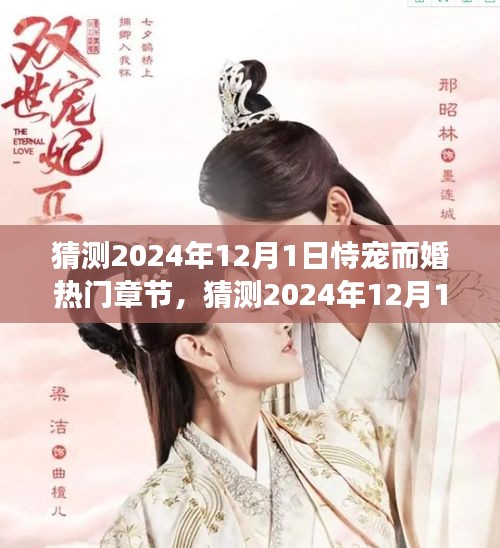 2024年婚恋风暴，恃宠而婚热门章节浪漫来袭