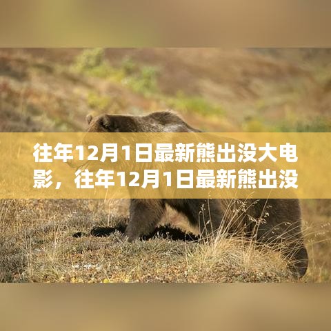 往年12月1日最新熊出没大电影深度解析与期待