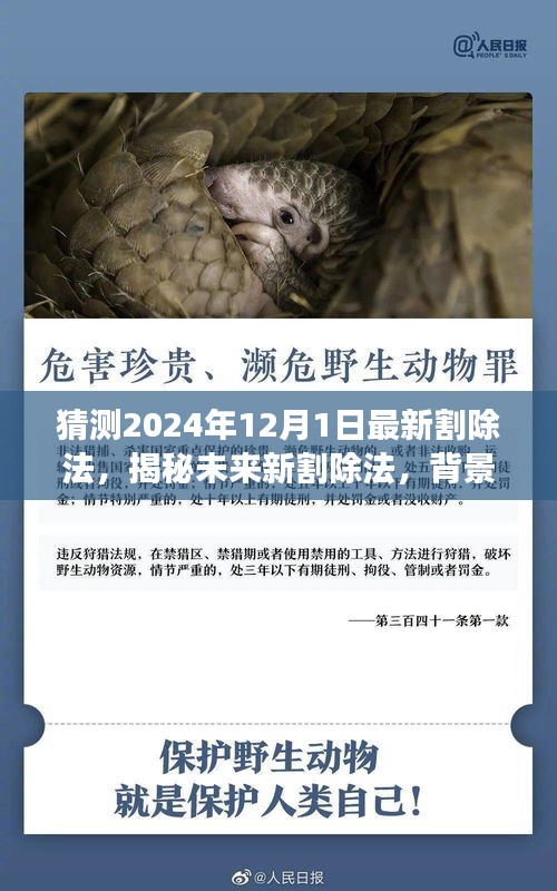 揭秘未来新割除法，背景、事件、影响与时代洞察（预测至2024年12月1日）