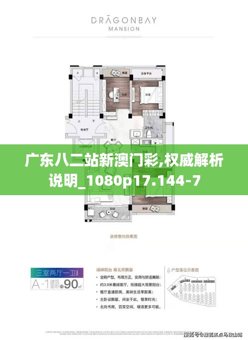 广东八二站新澳门彩,权威解析说明_1080p17.144-7