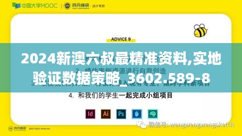 2024新澳六叔最精准资料,实地验证数据策略_3602.589-8