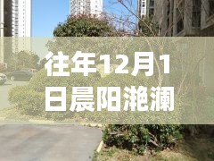 往年12月晨阳滟澜山房价揭秘，购房者的福音，最新房价信息一览无余