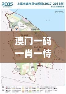 澳门一码一肖一恃一中354期,整体规划讲解_360143.303-6