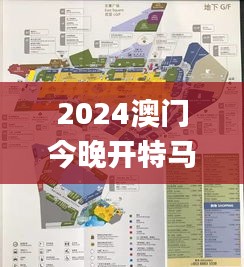 2024澳门今晚开特马结果336期,高效性设计规划_LYN66.978动感版