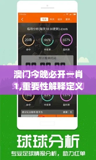澳门今晚必开一肖1,重要性解释定义方法_360167.281-1