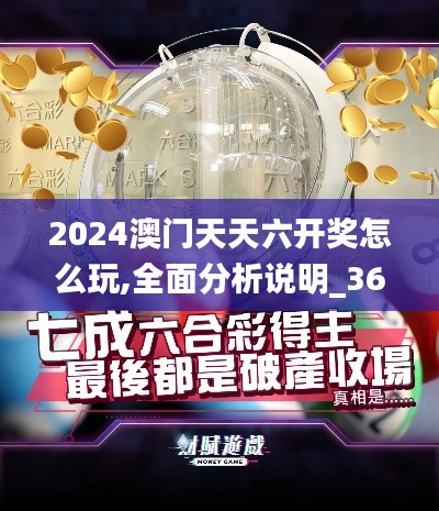 2024澳门天天六开奖怎么玩,全面分析说明_3612.927-4