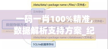一码一肖100%精准,数据解析支持方案_纪念版83.690-3