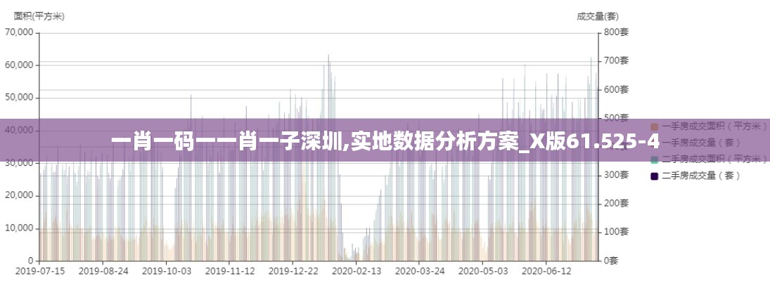一肖一码一一肖一子深圳,实地数据分析方案_X版61.525-4