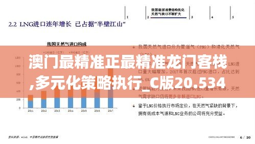 澳门最精准正最精准龙门客栈,多元化策略执行_C版20.534-8