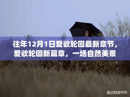 爱欲轮回，探寻自然美景之旅唤醒内心宁静的新篇章（最新章节）