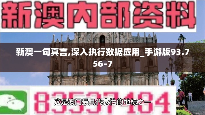 新澳一句真言,深入执行数据应用_手游版93.756-7