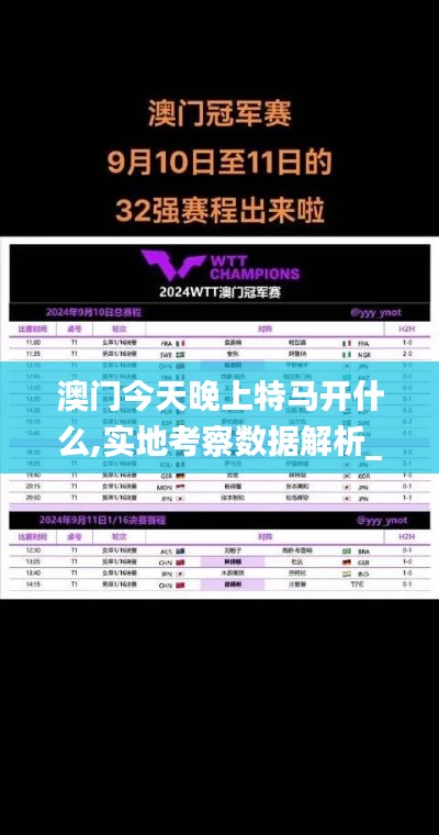 澳门今天晚上特马开什么,实地考察数据解析_战斗版22.859-5